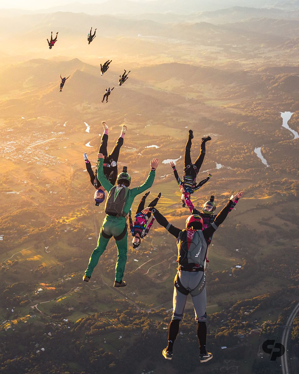A group flying together in low evening sun