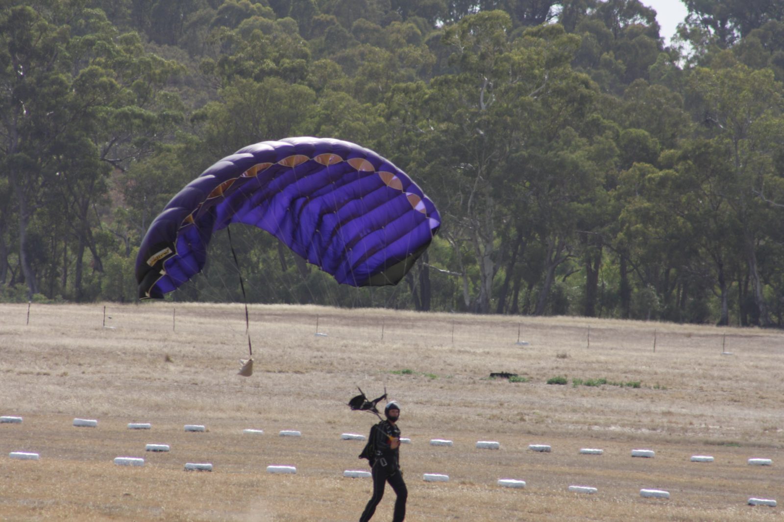 Under canopy at Downunder Dynamics #4